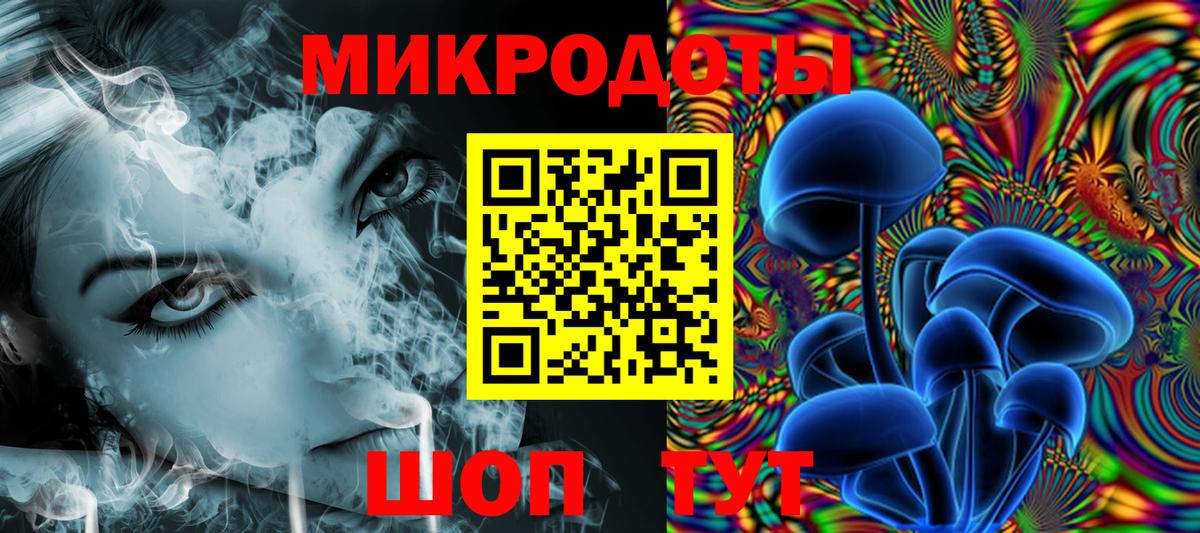 Псилоцибиновые грибы Cubensis Благовещенск