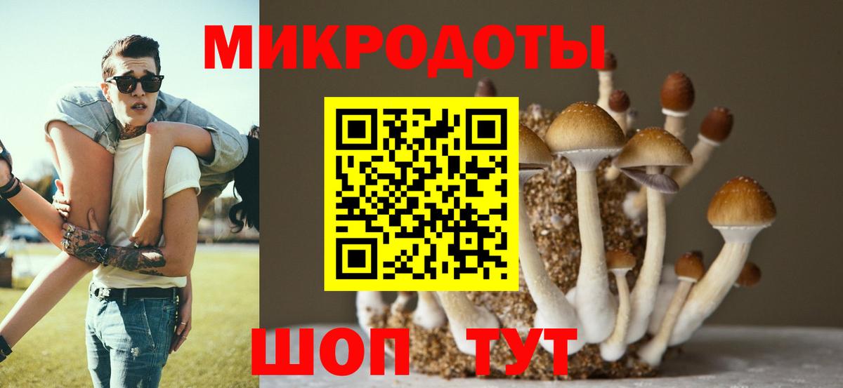 Галлюциногенные грибы мицелий  Вход с VPN  Благовещенск 